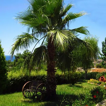 Club Sunny World 4* Alanya